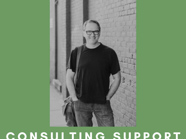 Consulting and coaching support 3 hours (custom rate) - 1st session (ID 99115)